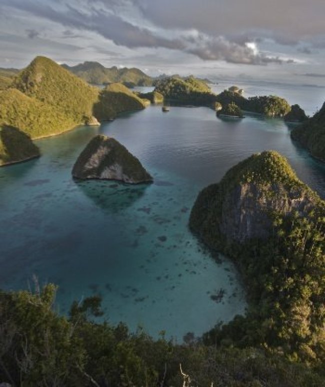 Langkah Hukum Terhadap Perusahaan Tambang di Raja Ampat Langkah Hukum Terhadap Perusahaan Tambang di Raja Ampat