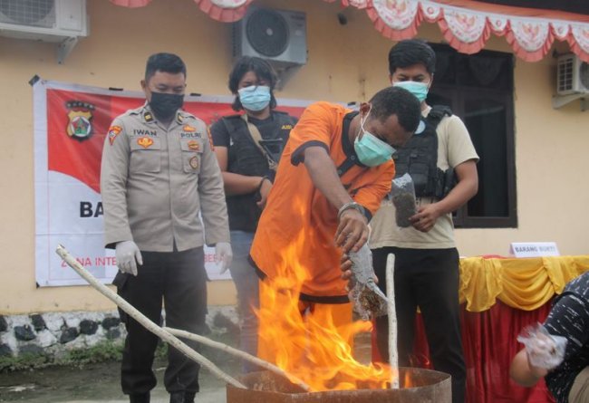  Satuan Narkoba Polres Jayapura Musnahkan Barang Bukti Ganja