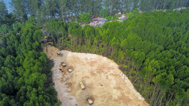  Stop Penimbunan Karang di Hutan Mangrove Kota Jayapura