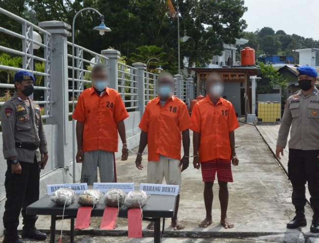 Tiga Warga PNG Membawa GanjaTerancam Hukuman 12 Tahun Penjara