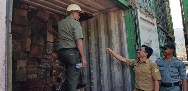 Lagi, Dishut Papua Sita Ratusan Kubik Kayu Ilegal