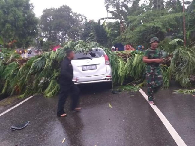 Pohon Tumbang dan Menimpa Mobil, Satu Anggota Polisi Tewas