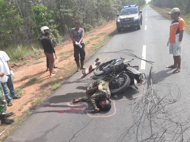 Seorang Pemuda Ditemukan Tewas di Jalan Trans Papua Merauke