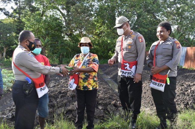 Binmas Noken Polri Serahkan Bibit Sayuran Kepada Kelompok Tani di Wamena