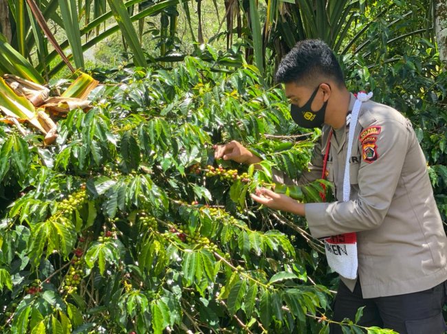 Binmas Noken Polri Sambang Kebun Kopi Mulia