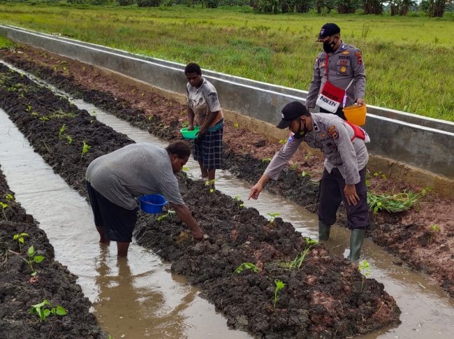 Program Kasuari, Binmas Polres Merauke Sambangi Lahan Pertanian Warga di Tanah Miring
