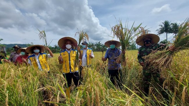 Lewat Program Irigasi BWS Papua, Atasi Kekeringan Lahan Pertanian di Koya Timur