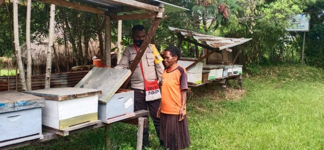 Peternakan Lebah Madu di Kampung Yagara Dikunjungi Binmas Noken
