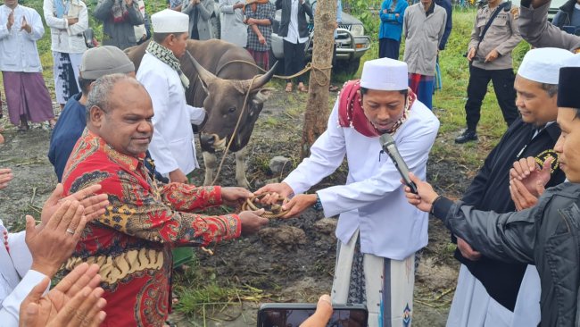 Bupati Puncak Jaya Turut Berqurban di Momen Idul Adha, Cerminan Toleransi Umat Beragama