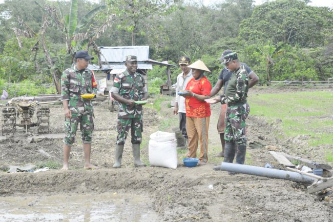 Wujudkan Ketahanan Pangan, Korem 172/PWY dan Poktan Garap Lahan Sawah 5 Hektar di Keerom