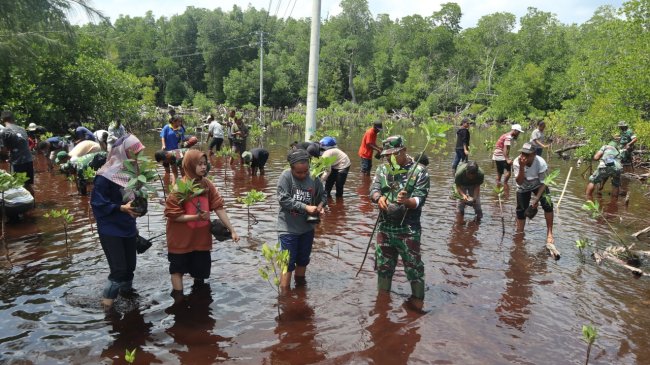Pertahankan Ekosistem Mangrove, Korem 172/PWY Bersama Mahasiswa Uncen Tanam 500 Pohon di Pantai Enggros 