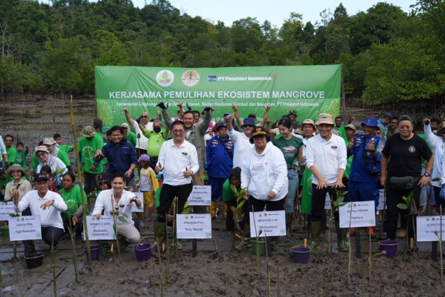 KLHK, BRGM, dan Freeport Indonesia Rehabilitasi 2.000 Hektar Lahan Mangrove di Kalimantan Timur