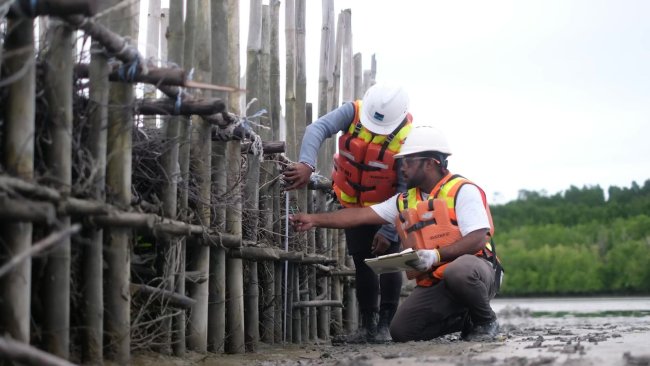 Estuary Structure Upaya Freeport Mempercepat Restorasi Ekosistem Mangrove di Pesisir Mimika