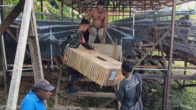 Menopang Perekonomian Lokal, Babinsa: Mari Tong Beternak Ayam