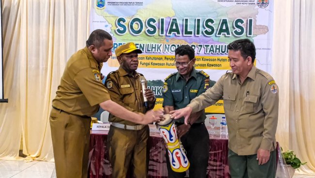 Pemprov Papua Tengah Gelar Sosialisasi Peraturan Pengelolaan Hutan Berkelanjutan