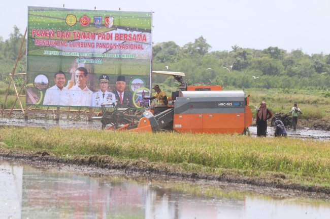 Merauke Dipersiapkan Sebagai lumbung Pangan Nasional