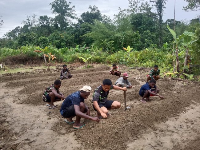 Satgas Yonif 611/Awang Long dan Warga Kampung Kiliarma Siapkan Lahan Untuk Ketahanan Pangan