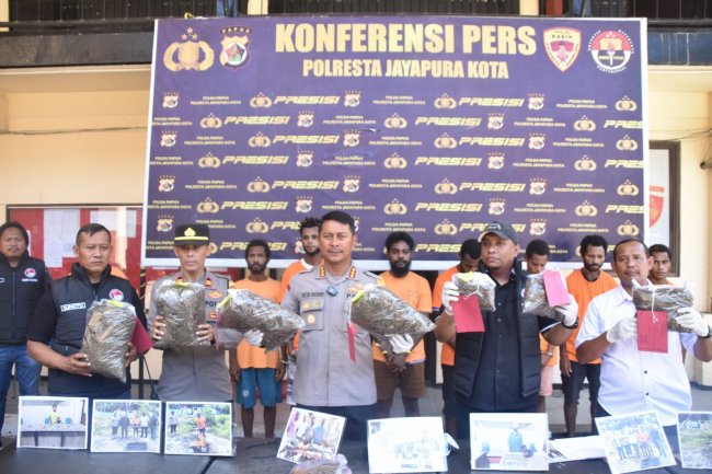 Sejak Januari 2025, Polresta Jayapura telah Menetapkan 11 Tersangka Kasus Ganja, 2 WNA