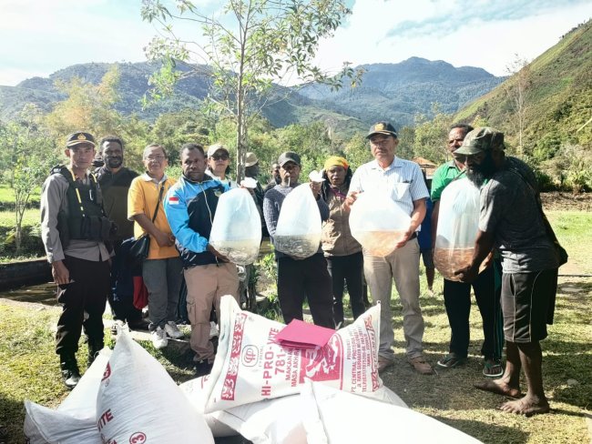 Pemkab Puncak Jaya Salurkan 51 Ribu Bibit Ikan dan Ribuan Pakan ke 17 Kelompok Tani Pemkab Puncak Jaya Salurkan 51 Ribu Bibit Ikan dan Ribuan Pakan ke 17 Kelompok Tani