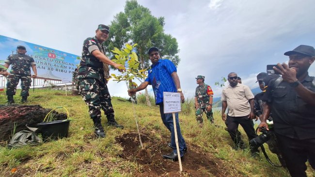 Sambut Hut Kemerdekaan, Korem 172/PWY Hijaukan Alam Papua dengan 80 Ribu Pohon 