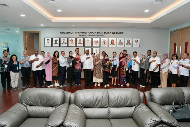 Ini Rekomendasi Hasil Audit Kemenkes RI di 4 Rumah Sakit Papua, yang Tolak Pasien Melahirkan