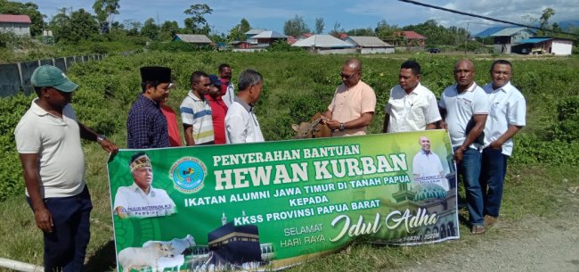 Alumni Jawa Timur di Tanah Papua Sumbang 2 Ekor Sapi, Suyanto: Terima Kasih Pak Paulus Waterpauw