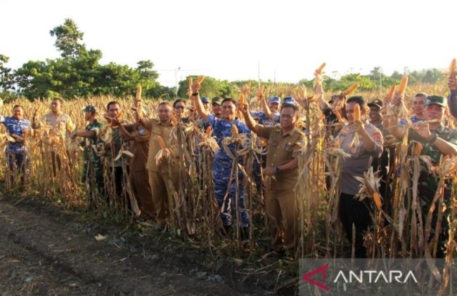 Pemkab Jayapura Dorong OAP Kembangkan Jagung dan Cabai