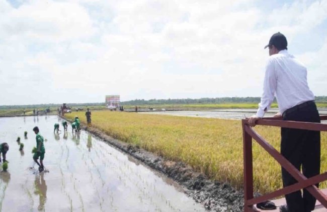 Mentan Bidik Lahan Merauke Jadi Laboratorium Raksasa Pertanian Modern