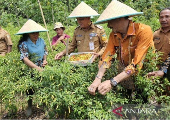 Pemprov Papua Minta Warga Buat Pekarangan Pangan Bergizi