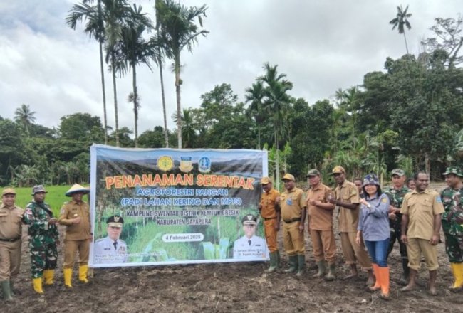 Jayapura tanam Serentak Padi Gogo Dukung Swasembada Pangan