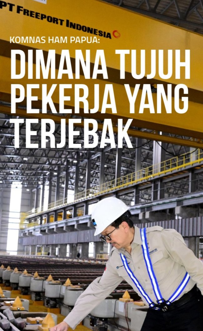 Komnas HAM Papua: Freeport Harus Jujur Dimana Pekerja dan Bagaimana Kondisi Mereka Sekarang