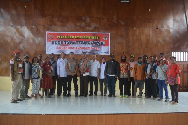 Binmas Noken Papua Berikan Pelatihan Budi Daya Ternak Babi di Yahukimo