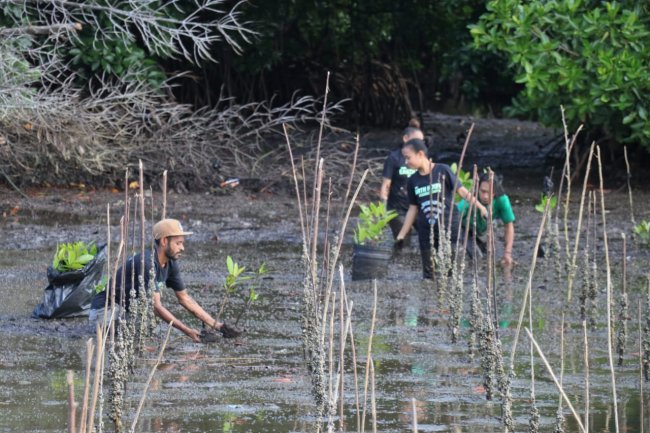 Ini Cara Mahasiswa di Kota Jayapura Memperingati Hari Lingkungan Hidup Sedunia