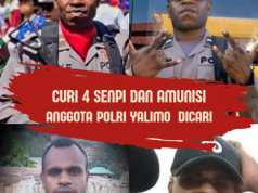 Kompolnas Terkejut, 4 Senpi dan Amunisi Dicuri Oknum Anggota Polri Yalimo