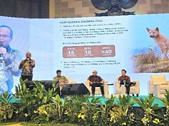 Freeport Indonesia Berbagi Praktik Menjaga Keanekaragaman Hayati di Papua