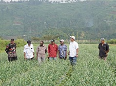 BI Papua Bawa Petani dan Penyuluh Pertanian Belajar GAP ke Daerah Produsen Pangan di Pulau Jawa