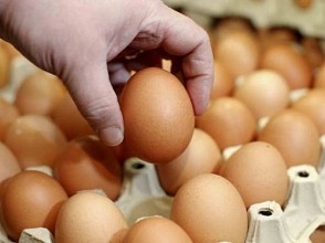 Ternyata Tak Ada Telur Palsu di Indonesia
