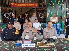 Polisi Selidiki Penemuan Satu Pucuk Senjata Pabrikan dan 171 Butir Peluru di Kota Jayapura Polisi Selidiki Penemuan Satu Pucuk Senjata Pabrikan dan 171 Butir Peluru di Kota Jayapura