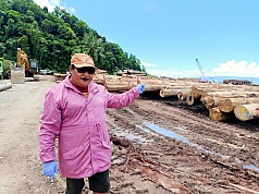 Sidak di Perusahaan Kayu, Aleda Yoteni Temukan Kayu Dikubur Dalam Tanah Sidak di Perusahaan Kayu, Aleda Yoteni Temukan Kayu Dikubur Dalam Tanah
