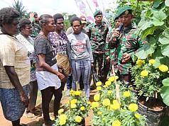 TNI Bersama PT Ewindo Gelar ‘Farmer Field Day’ di Perbatasan Sota Merauke  TNI Bersama PT Ewindo Gelar ‘Farmer Field Day’ di Perbatasan Sota Merauke