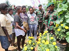  TNI Bersama PT Ewindo Gelar ‘Farmer Field Day’ di Perbatasan Sota Merauke