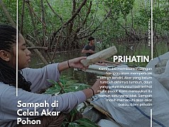 Bakau Yang Tercinta Hati Yang Terluka Bakau Yang Tercinta Hati Yang Terluka