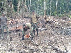 Satgas Raider 300/Bjw Bantu Warga Kampung Yamara Bangun Gereja Satgas Raider 300/Bjw Bantu Warga Kampung Yamara Bangun Gereja