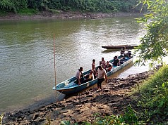 Seorang Anak Tewas Diterkam Buaya di Sungai Wasian Bintuni Seorang Anak Tewas Diterkam Buaya di Sungai Wasian Bintuni