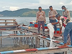 Satgas Binmas Noken Polri Serahkan Seribu Ekor Bibit Mujair Kepada Masyarakat Sentani Satgas Binmas Noken Polri Serahkan Seribu Ekor Bibit Mujair Kepada Masyarakat Sentani