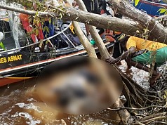 Perahu Terbalik di Asmat, 6  Selamat, 2 Ditemukan Meninggal Dunia Perahu Terbalik di Asmat, 6  Selamat, 2 Ditemukan Meninggal Dunia
