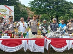 Polresta Jayapura Musnahkan Ganja dan Miras Bernilai Total Rp 500 Juta Polresta Jayapura Musnahkan Ganja dan Miras Bernilai Total Rp 500 Juta