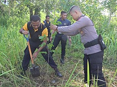 Peringati Empat Tahun Banjir Bandang, Polres Jayapura Tanam 1000 Pohon di Kali Kemiri Peringati Empat Tahun Banjir Bandang, Polres Jayapura Tanam 1000 Pohon di Kali Kemiri