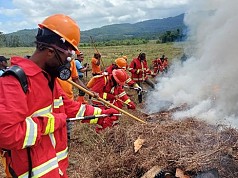 Freeport Gelar Simulasi Pencegahan Kebakaran Hutan dan Lahan di Area Rehabilitasi DAS Distrik Kemtuk Gresi 