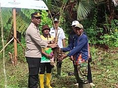 Polres Jayapura Wajibkan Anggota Polri Tanam Pohon Sagu Sebelum Menikah Polres Jayapura Wajibkan Anggota Polri Tanam Pohon Sagu Sebelum Menikah